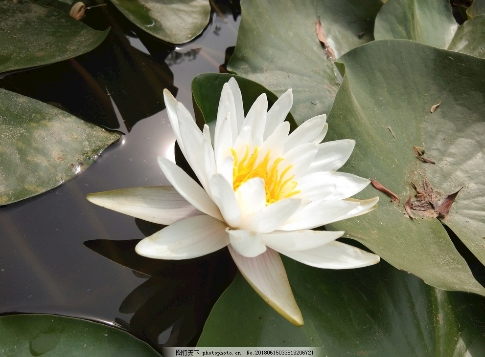 聚合物锂电池厂家评价参阅攻略