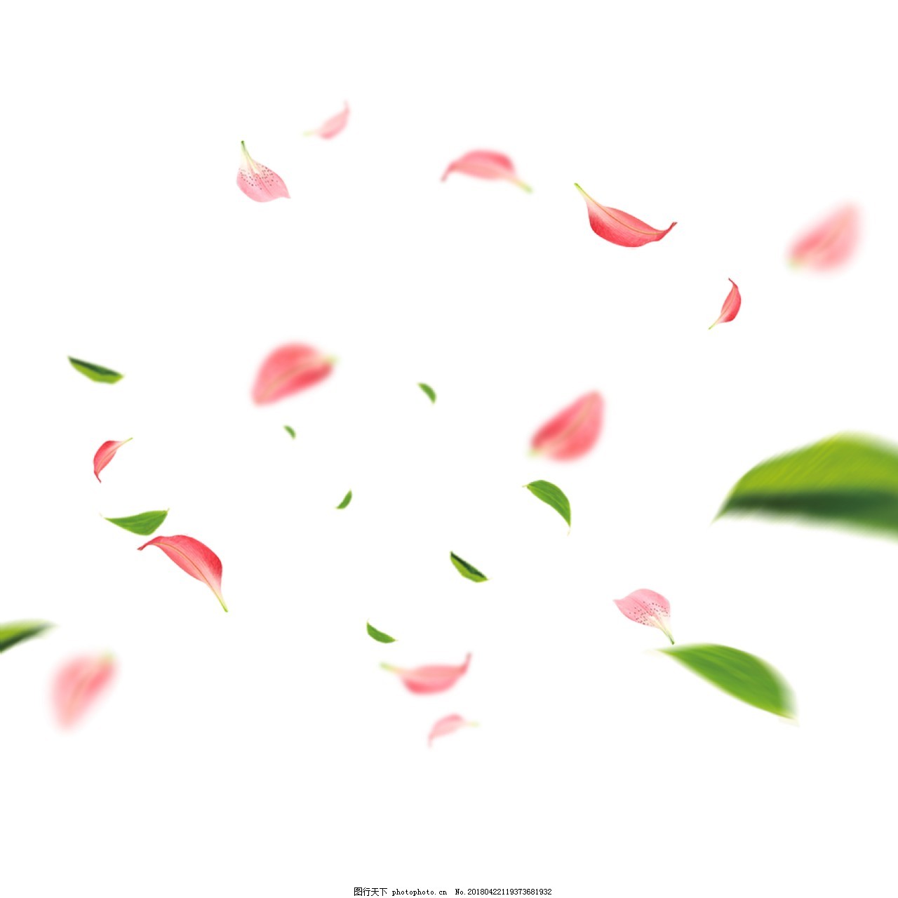 手绘水彩粉色花瓣图片素材免费下载 - 觅知网