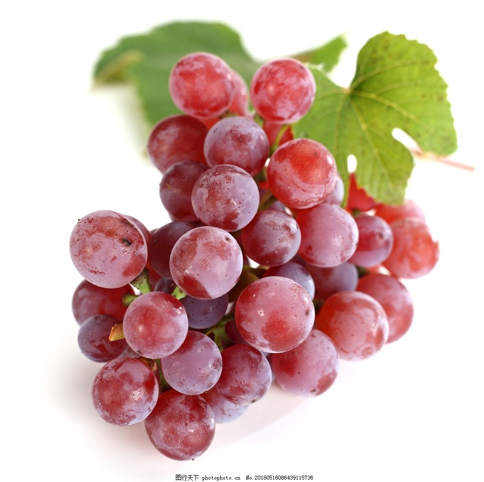 grape 4 jordans