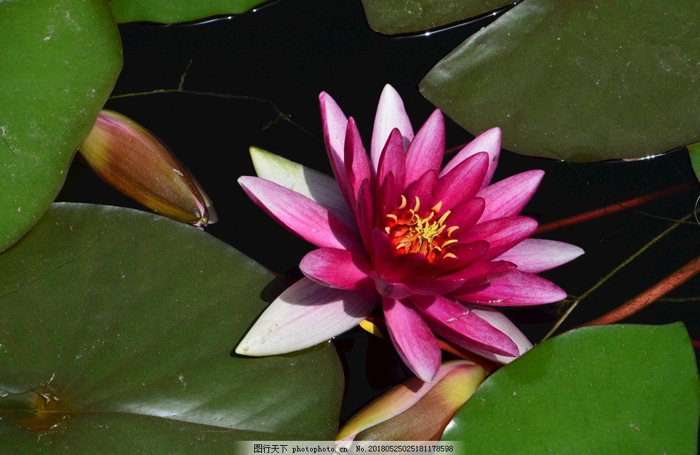 北非摩洛哥纪行—在马拉喀什遇见马约尔花园的蓝（2）