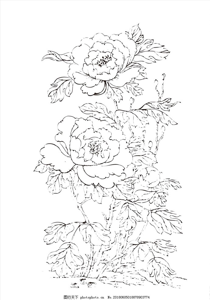 古典花瓶花纹图片 民俗人文 生活方式 图行天下素材网 古典花瓶花纹图片 民俗人文 生活方式 图行天下素材网